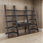 Api 3 Piece Angular Ladder Desk Set, 1 Drawer, 12 Shelves, Cappuccino Brown