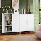Versatile Metal Storage Cabinet for Various Spaces and Demands