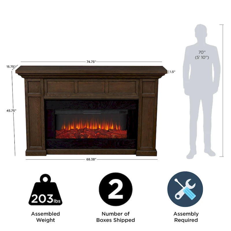 75 Landscape Electric Fireplace