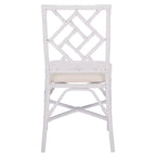 Rattan Accent Chair with Cushion