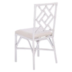 Rattan Accent Chair with Cushion